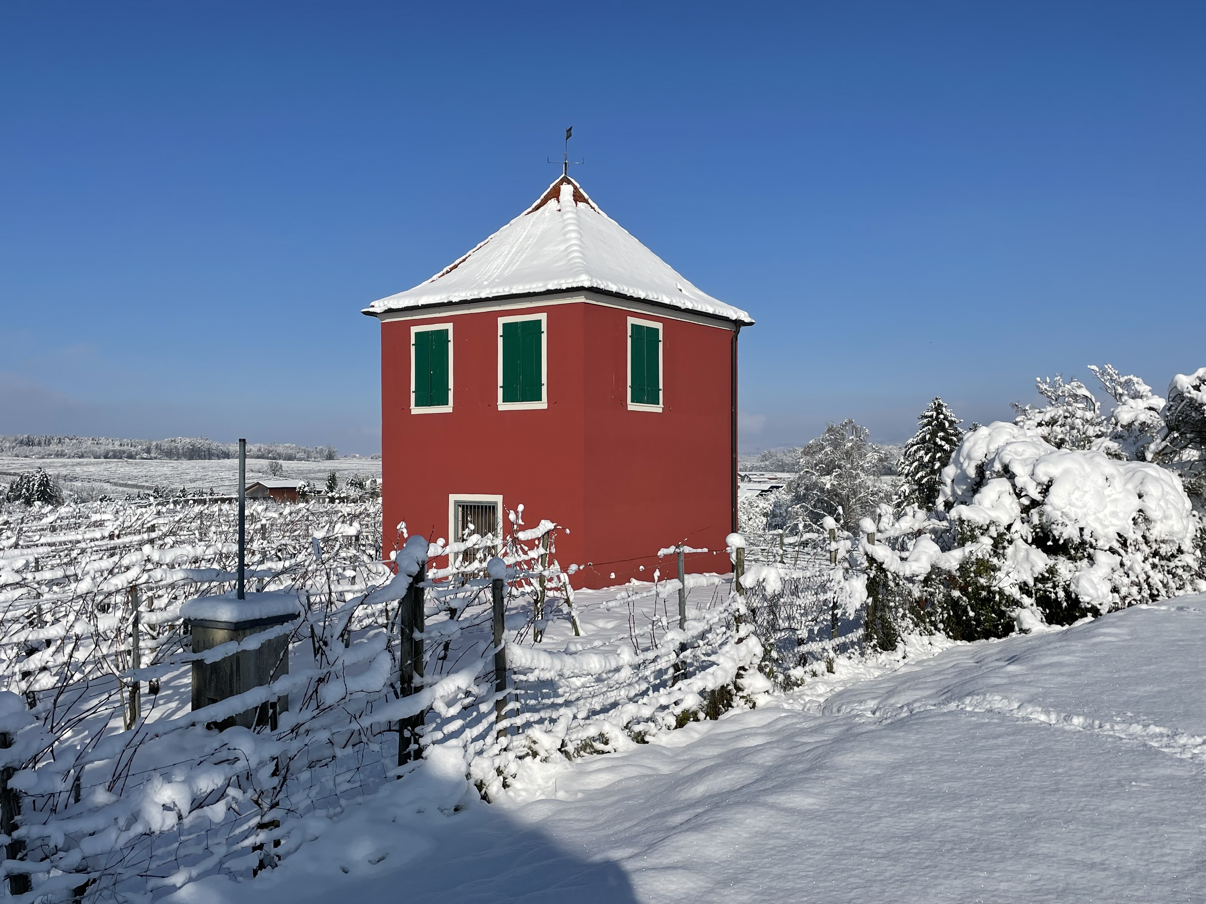 FeWo-Immenstaad-Bodensee-Hochberg-3