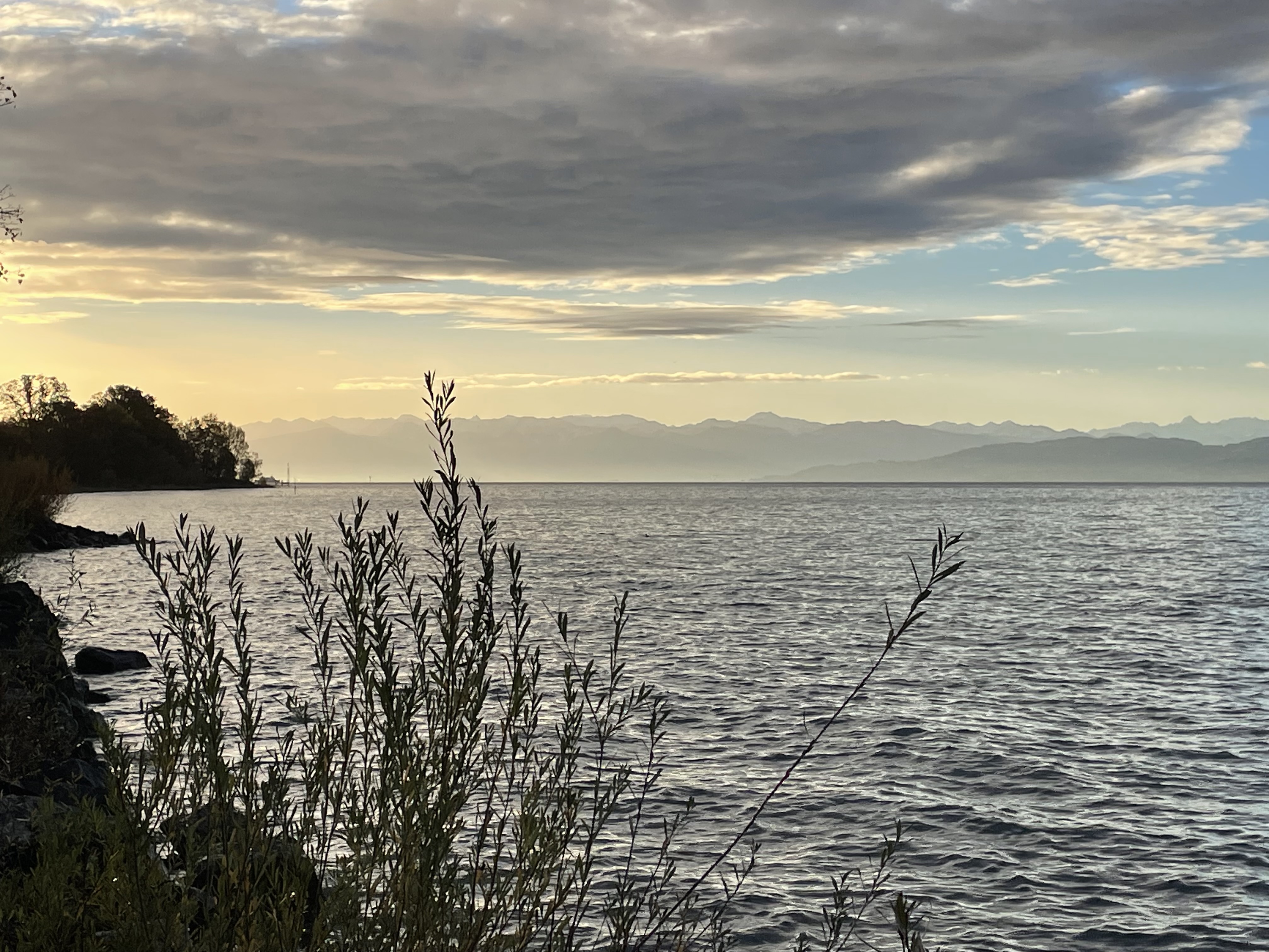 FeWo-Immenstaad-Bodensee-MTU-3