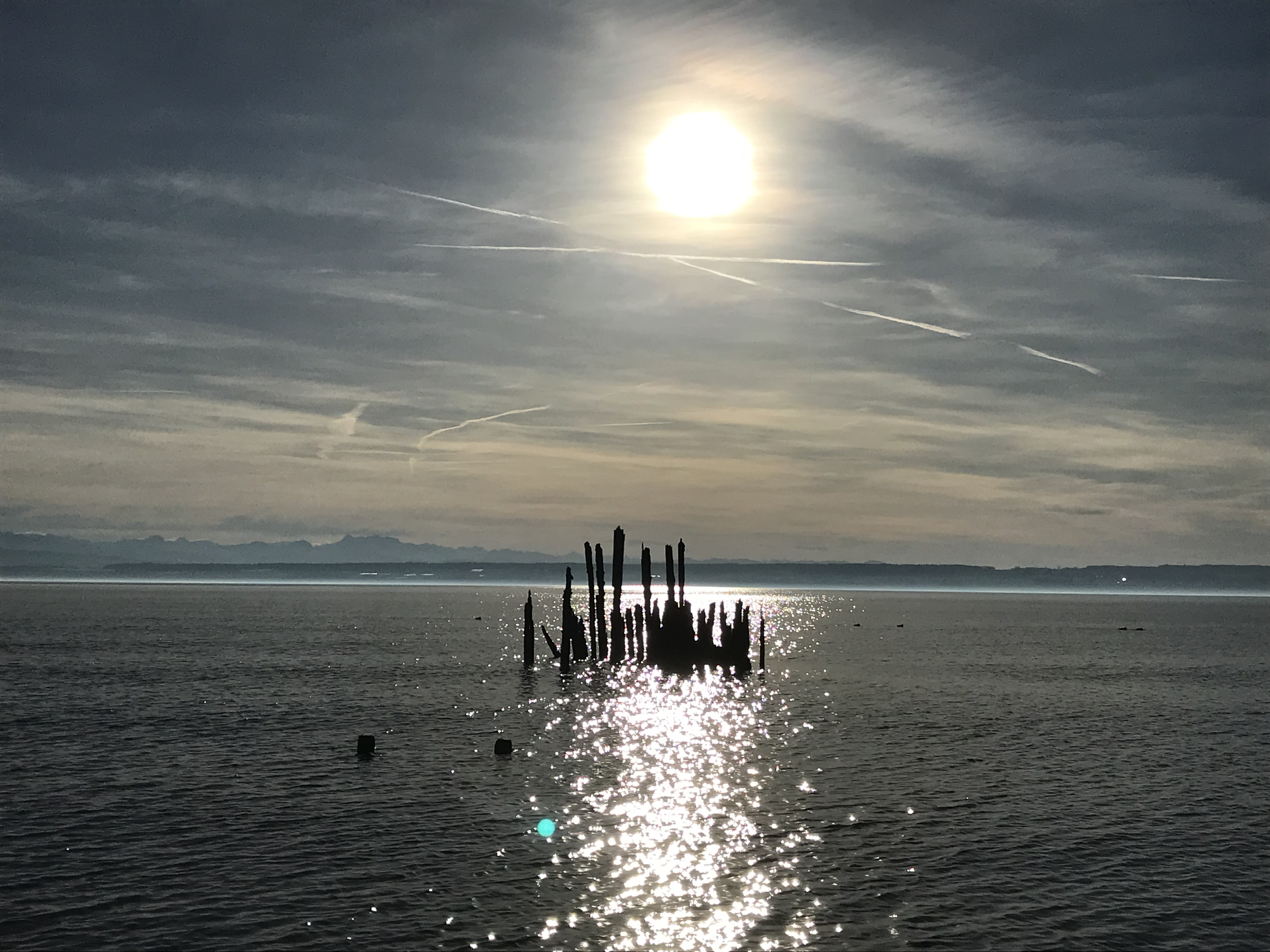 FeWo-Immenstaad-Bodensee-Pfhle