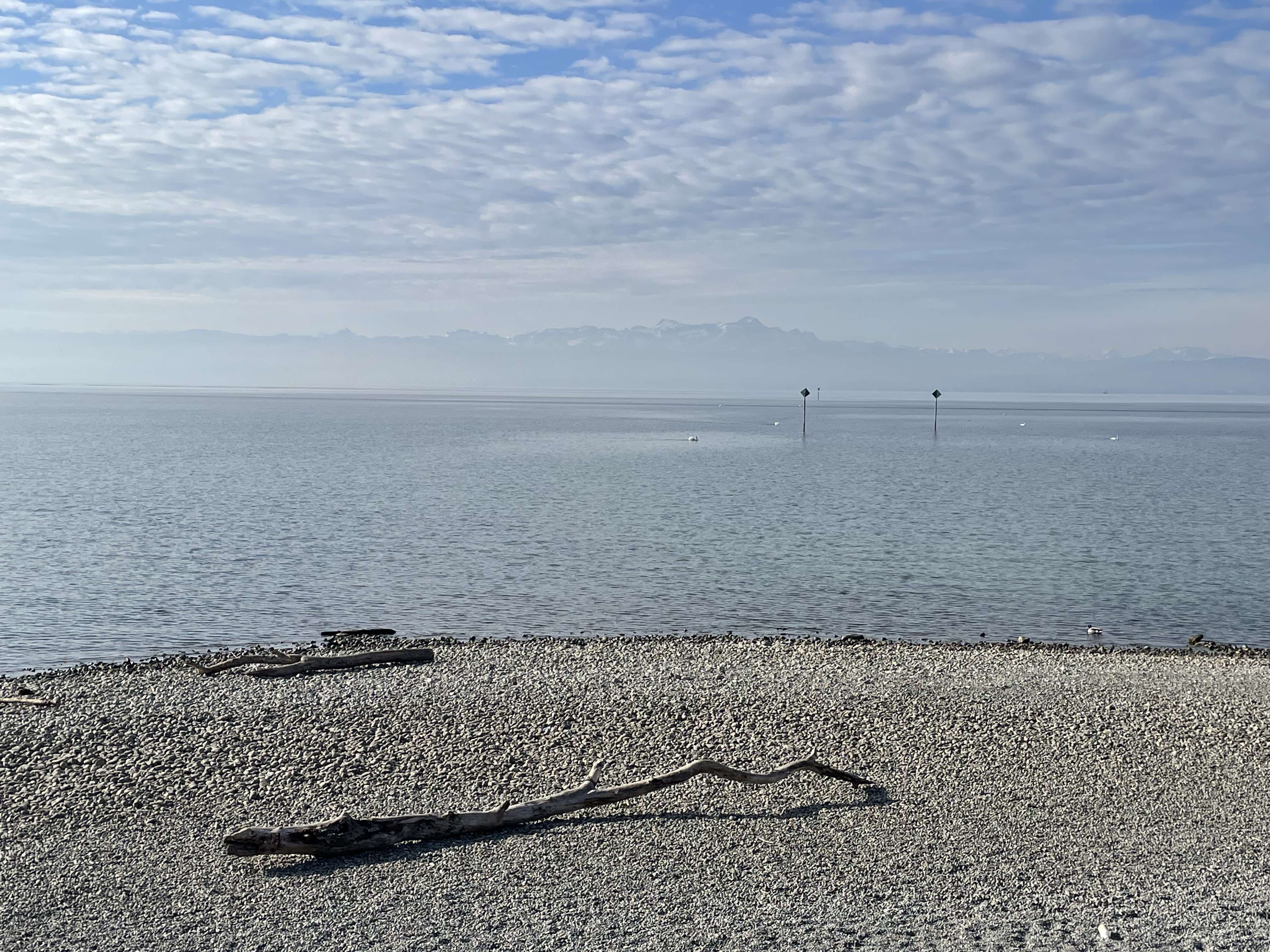 FeWo-Immenstaad-Bodensee-Sntis-1